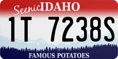 ID license plate 1T7238S