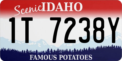 ID license plate 1T7238Y