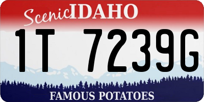 ID license plate 1T7239G