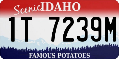 ID license plate 1T7239M