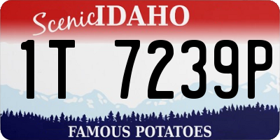 ID license plate 1T7239P
