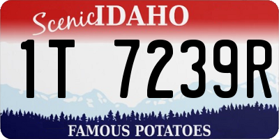 ID license plate 1T7239R