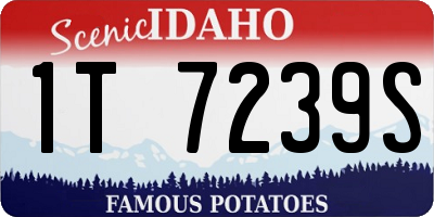 ID license plate 1T7239S