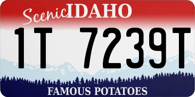 ID license plate 1T7239T