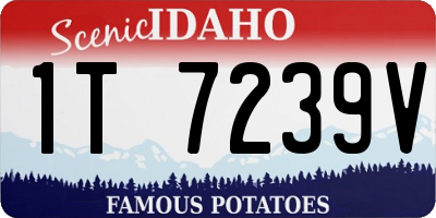 ID license plate 1T7239V