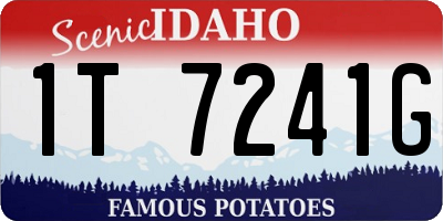 ID license plate 1T7241G