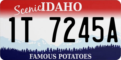 ID license plate 1T7245A