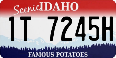 ID license plate 1T7245H