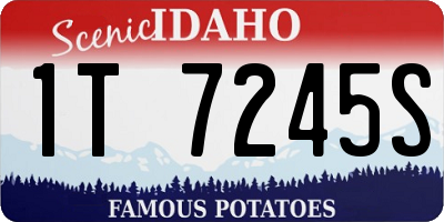 ID license plate 1T7245S