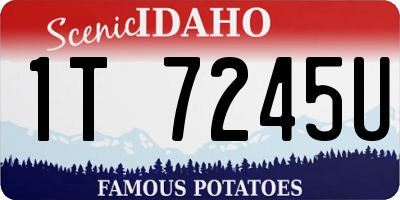 ID license plate 1T7245U