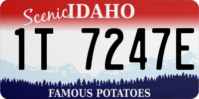 ID license plate 1T7247E