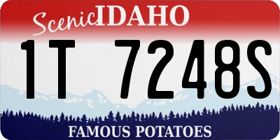 ID license plate 1T7248S