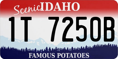 ID license plate 1T7250B