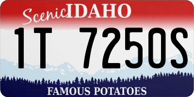 ID license plate 1T7250S