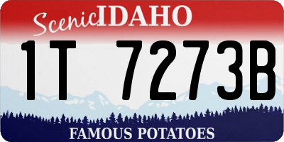 ID license plate 1T7273B