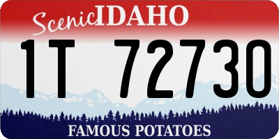ID license plate 1T7273O