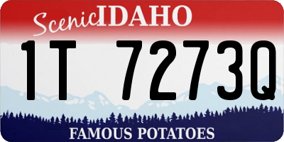 ID license plate 1T7273Q