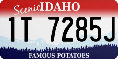 ID license plate 1T7285J