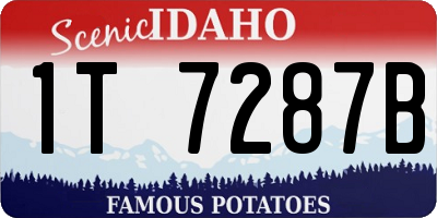 ID license plate 1T7287B