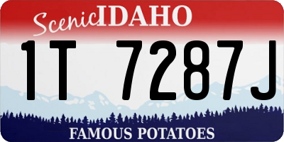 ID license plate 1T7287J