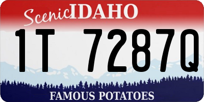 ID license plate 1T7287Q