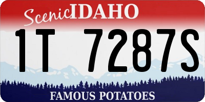 ID license plate 1T7287S