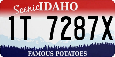 ID license plate 1T7287X