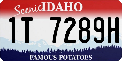 ID license plate 1T7289H
