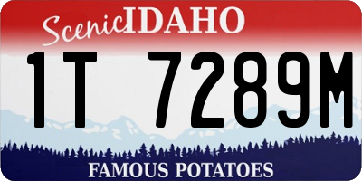 ID license plate 1T7289M