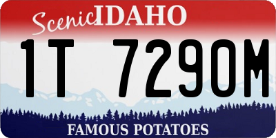 ID license plate 1T7290M