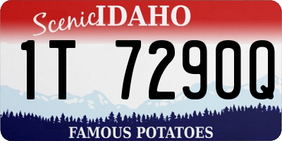 ID license plate 1T7290Q
