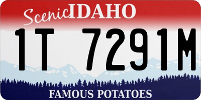 ID license plate 1T7291M