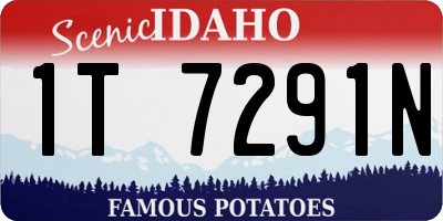 ID license plate 1T7291N