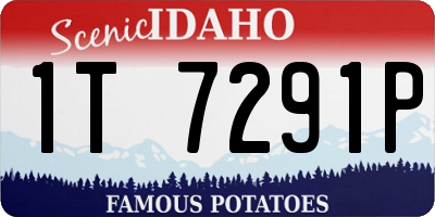 ID license plate 1T7291P