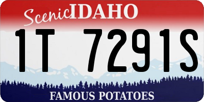 ID license plate 1T7291S