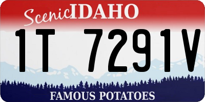 ID license plate 1T7291V