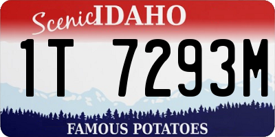 ID license plate 1T7293M