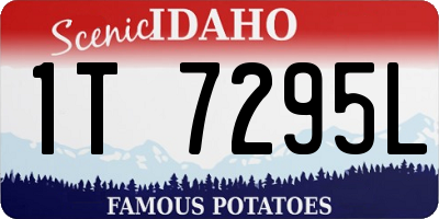 ID license plate 1T7295L