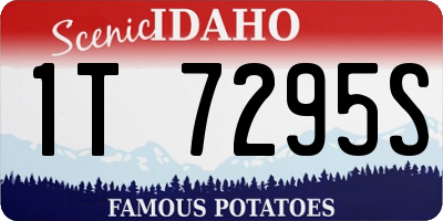 ID license plate 1T7295S