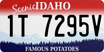 ID license plate 1T7295V
