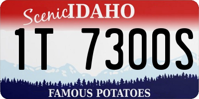 ID license plate 1T7300S