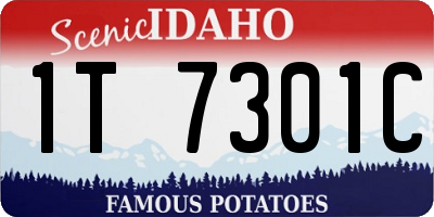 ID license plate 1T7301C
