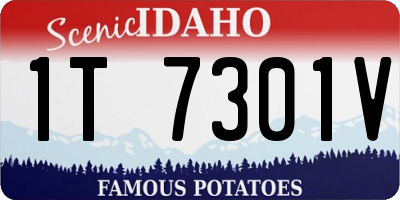 ID license plate 1T7301V