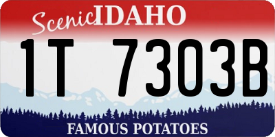 ID license plate 1T7303B