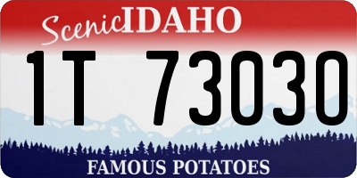 ID license plate 1T7303O