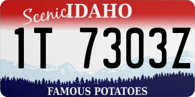 ID license plate 1T7303Z