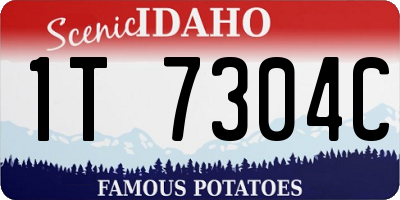 ID license plate 1T7304C