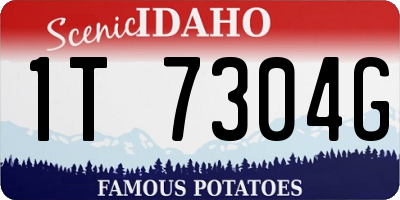 ID license plate 1T7304G