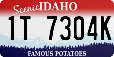 ID license plate 1T7304K