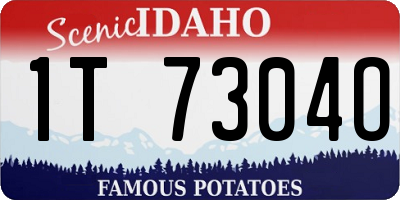 ID license plate 1T7304O